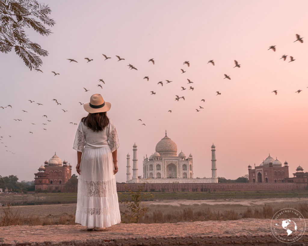 Girl watching the Taj Mahal while Birds flying home during the sunset in Mehtab-Bagh