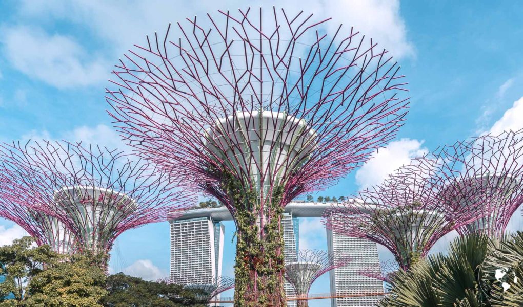 Supertrees-Singapore