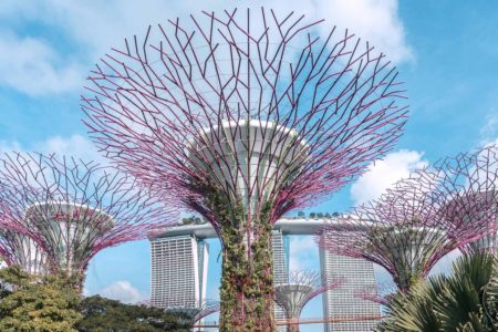Supertrees-Singapore