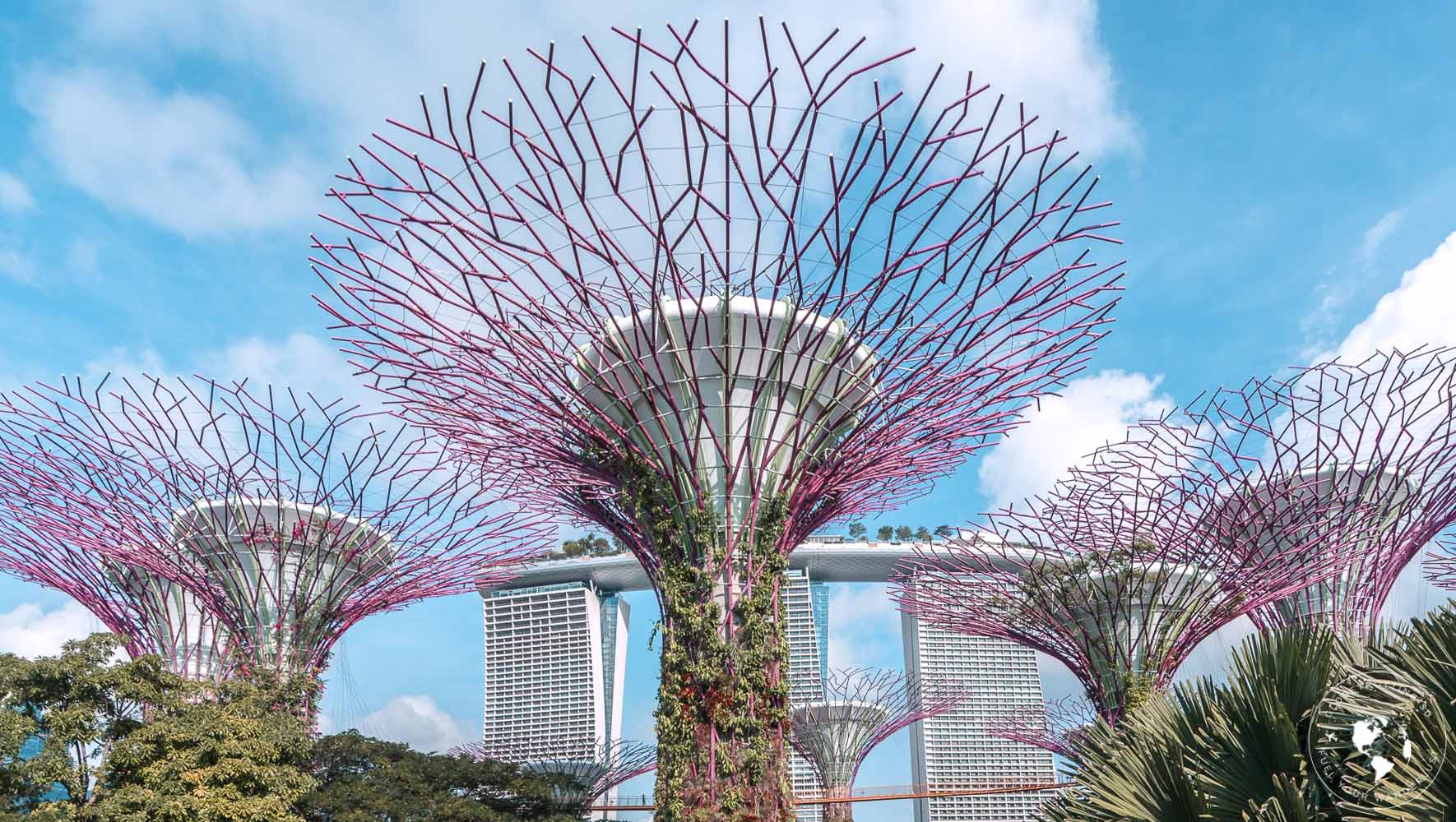 Best Photo Spots in Gardens by the Bay, Singapore